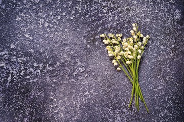 bunch of lily of the valley on a textured cement background with copy space