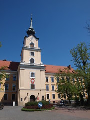 Fototapeta na wymiar Bell tower of the castle of the Lubomirski family, Rzeszów, Poland