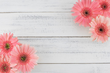 Pink Gebera flowers on white wood background with copy space