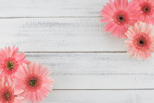 Pink Gebera flowers on white wood background with copy space