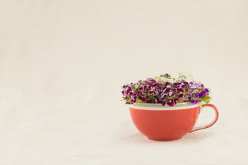 Sweet william flowers in tea cup with copy space