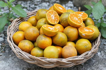 oranges in a basket