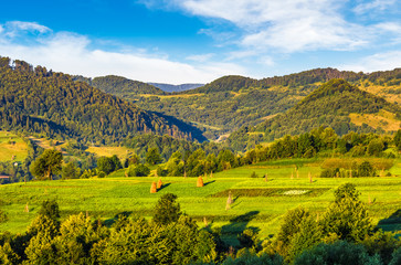 agricultural fields on hills at sunrise