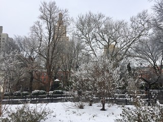 Trees on snow at Washington square park and buildings in Manhattan, New York