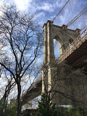 Fototapeta premium Brooklyn bridge and no leaves tree with blue sky