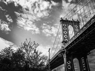 Fototapeta premium Manhattan bridge and plants in the park with cloudy sky in black and white