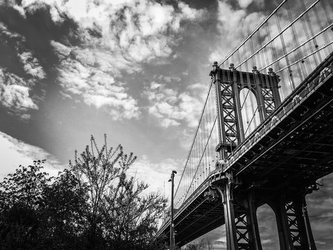 Fototapeta Manhattan bridge and plants in the park with cloudy sky in black and white