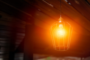 light bulb. night hanging lamp lighting decoration.
