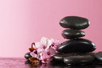 Fototapeta na wymiar Beautiful pink Spa Flowers on Spa Hot Stones on Water Wet Background. Side Composition. Copy Space. Spa Concept. Bright Pink Background.