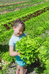 la bonne salade du jardin