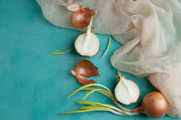Sprouted onions on turquoise background.