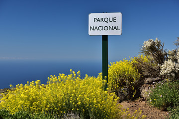 Nationalpark Teide auf Teneriffa