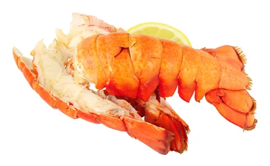 Poster Two cooked lobster tails isolated on a white background © philip kinsey