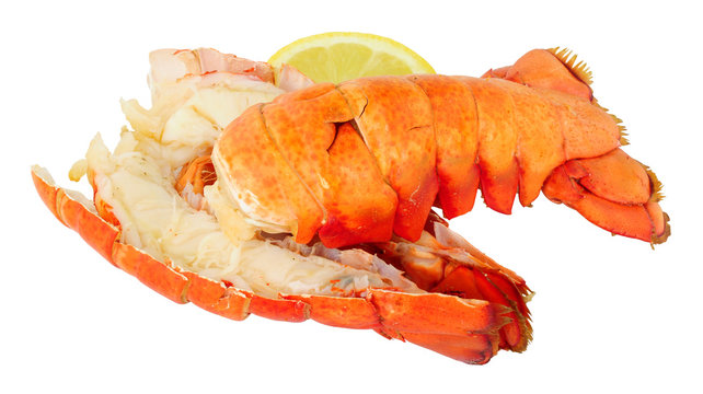 Two Cooked Lobster Tails Isolated On A White Background