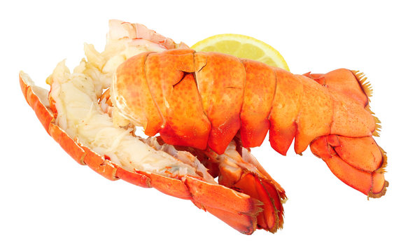 Two cooked lobster tails isolated on a white background