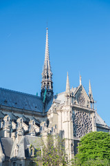 Fototapeta na wymiar Paris, Notre-Dame cathedral in blue sky