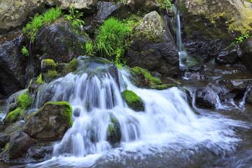 南阿蘇の白川水源