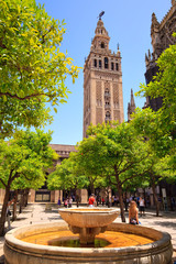Séville, la Giralda vue de la cour des orangers