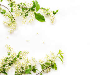 Flowers composition. Frame with white flowers on white background. Flat lay, top view, copy space