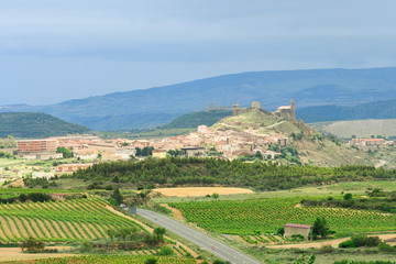 Fototapeta na wymiar aerial views to la rioja vineyards, Spain