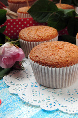 Cupcake and Rose