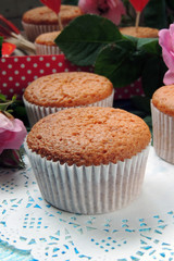 Cupcake and Rose