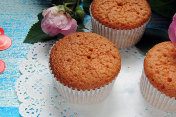 Cupcake and Rose