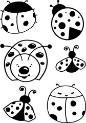 ladybugs for kids