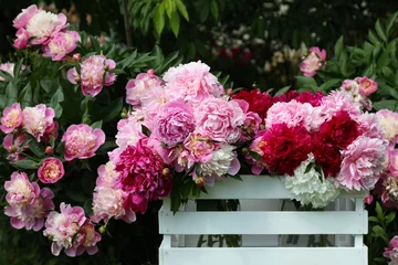 Printed roller blinds Peonies White, pink and crimson peonies in a white wooden box. Peonies in the spring garden.  