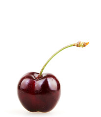 Sweet cherry isolated on white background