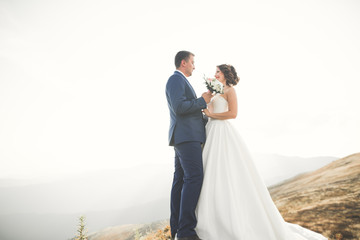 Happy wedding couple posing over beautiful landscape in the mountains