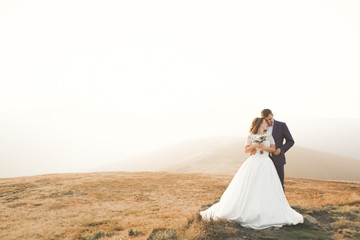 Fototapeta na wymiar Happy wedding couple posing over beautiful landscape in the mountains