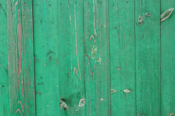 Fototapeta premium Old wooden boards of green color. Horizontal.
