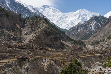 Nanga Parbat, world eighth highest mountain, Himalaya range, Chilas, Pakistan