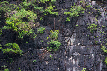 The hill on blue lagoon in Thailand.
