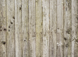 Part of an old wooden door. Horizontal.