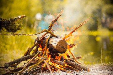 Bonfire on summer. Fire flame from bonfire on a nature.