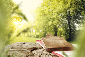 Obraz premium picnic space 