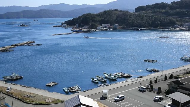 遊子水荷浦の段畑（愛媛県宇和島市）　
