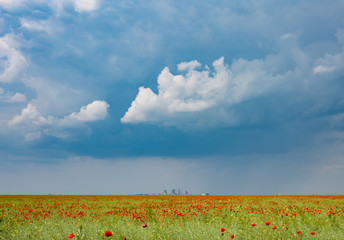 Fototapeta na wymiar Poppies field with industrial background and dramatic clouds