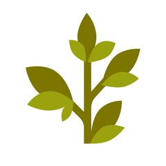 Green tea grown plant flat cartoon isolated illustration