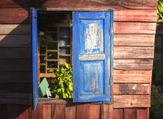 Blue window on wooden wall in old wood house.