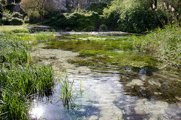 Pescara river springs