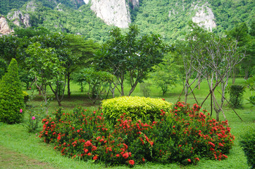 Beautiful garden in UTHAI THANI PROVINCE, THAILAND