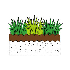 Grass and ground icon vector illustration graphic design