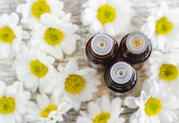 Three bottles of essential chamomile oil over wooden background. Aromatherapy and spa concept. Top view, copy space.