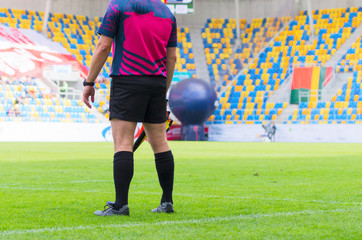 The match referee at the stadium