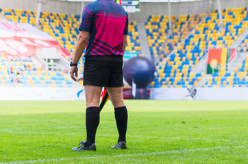 The match referee at the stadium
