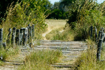 nature of the okavango delta in botswana third bridge of the moremi game reserve
