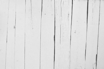 white old wooden fence. wood palisade background. planks texture